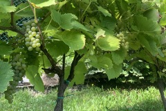 LUGLIO_2022_BLOG-25