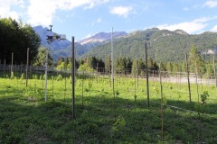 LUGLIO_2022_BLOG-27