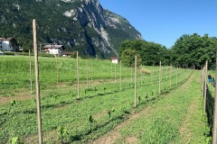 LUGLIO_2022_BLOG-28