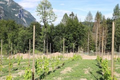 LUGLIO_2022_BLOG-33