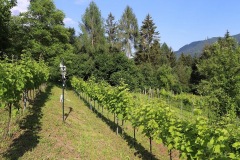 LUGLIO_2022_BLOG-34