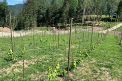 LUGLIO_2022_BLOG-35