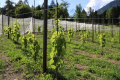LUGLIO_2022_BLOG-41