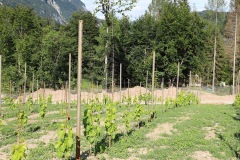 LUGLIO_2022_BLOG-42