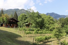LUGLIO_2022_BLOG-47