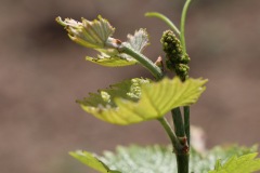 MAGGIO_2022_BLOG-11