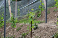 MAGGIO_2022_BLOG-15