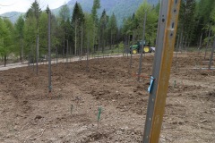 MAGGIO_2022_BLOG-23