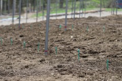 MAGGIO_2022_BLOG-24