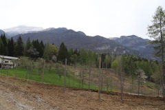 MAGGIO_2022_BLOG-26