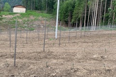 MAGGIO_2022_BLOG-28