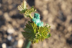 MAGGIO_2022_BLOG-29