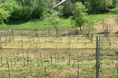 MAGGIO_2022_BLOG-30