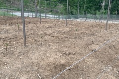MAGGIO_2022_BLOG-32