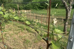 MAGGIO_2022_BLOG-37
