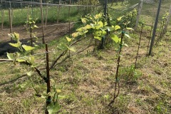 MAGGIO_2022_BLOG-39
