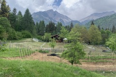 MAGGIO_2022_BLOG-40