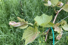MAGGIO_2022_BLOG-41