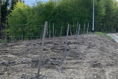 MAGGIO_2022_BLOG-43
