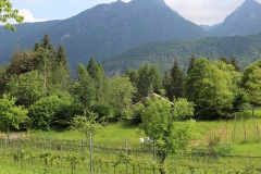 MAGGIO_2022_BLOG-6