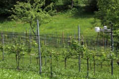 MAGGIO_2022_BLOG-7