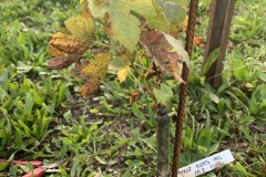 OTTOBRE_2022_BLOG-17