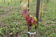 OTTOBRE_2022_BLOG-18