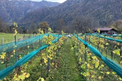 OTTOBRE_2022_BLOG-4