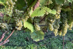 SETTEMBRE_2022_BLOG-186