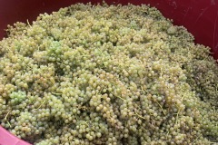 SETTEMBRE_2022_BLOG-191