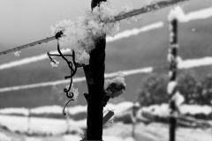IMG_0560