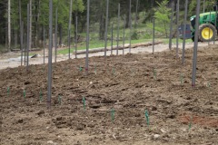 COSTRUZIONE_IMPIANTO_KRETOS_2022-38