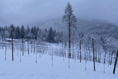 DICEMBRE_2022_BLOG-16