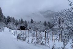 DICEMBRE_2022_BLOG-17