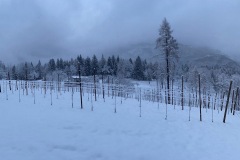 DICEMBRE_2022_BLOG-7