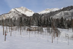 IMG_2425
