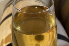 IMG_3152