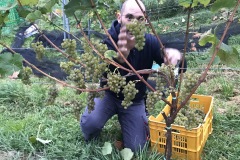 HARVEST_SOLARIS_2018-11