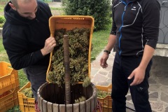 HARVEST_SOLARIS_2018-14