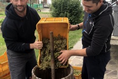HARVEST_SOLARIS_2018-15