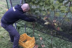 HARVEST_SOLARIS_2018-9