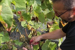 HARVEST_SOLARIS_2020-22