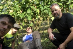 HARVEST_SOLARIS_2020-23