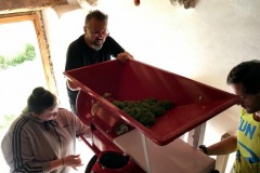 HARVEST_SOLARIS_2020-3