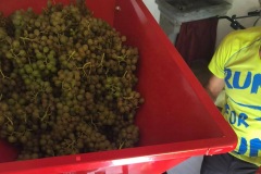 HARVEST_SOLARIS_2020-5