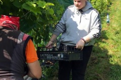 HARVEST_SOLARIS_2020-9