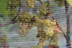 HARVEST_SOLARIS_2021-23