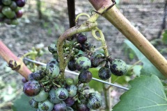 VERAISON_JULIUS_13_OCTOBER_2021-9