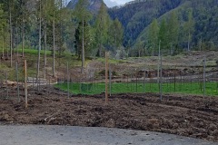 LAVORI_2023_CANTINA_837-7