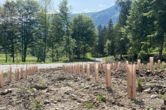LAVORI_GIUGNo-2023-26